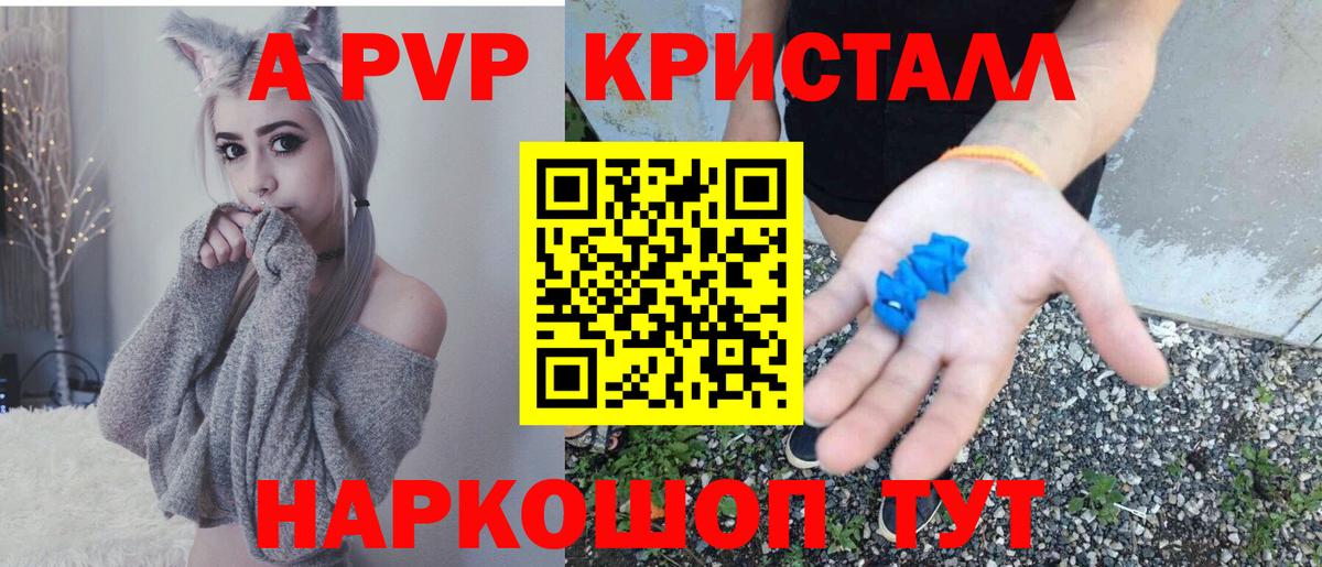 A PVP СК КРИС  Вход с VPN  A-PVP крисы CK  Зерноград 